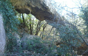 Le pont naturel - Barres de Bidoufle
