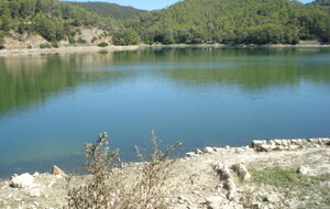 Carcès