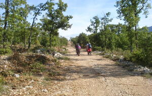 68dcc01dad28f_DSC08241.JPG