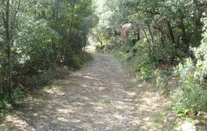 68e53754eae04_DSC08261.JPG