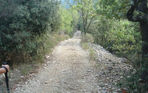 6ac503bb798db_DSC08631.JPG