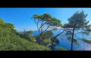 Giens Ouest