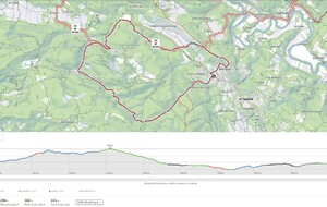 Le Thoronet - Chemin de Moines