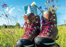 Repas de fin d'année 2025