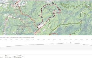 Collobrières-Menhirs du plateau Lambert