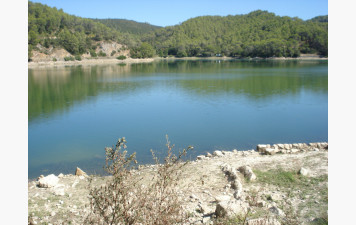 Carcès