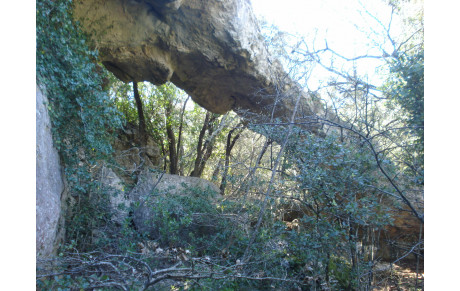Le pont naturel - Barres de Bidoufle