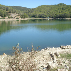 Carcès