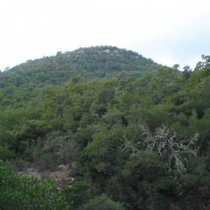 La Roquebrussanne - tour du Piberon
